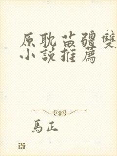 原耽苗疆双男主小说推荐