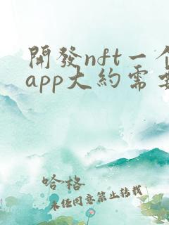 开发nft一个app大约需要多少钱