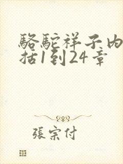 骆驼祥子内容概括1到24章