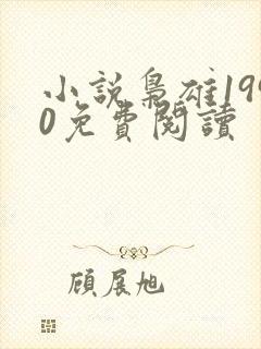 小说枭雄1990免费阅读