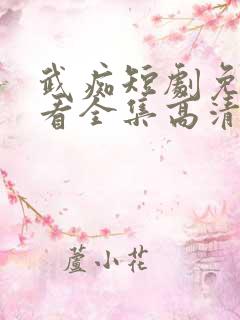 武痴短剧免费观看全集高清