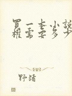 买一本小说的版权需要多少钱