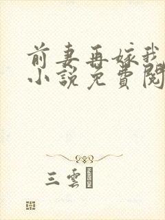 前妻再嫁我一次小说免费阅读