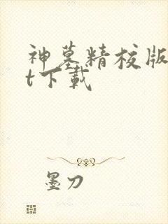 神墓精校版txt下载