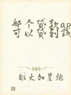 哪个贷款app可以贷到钱