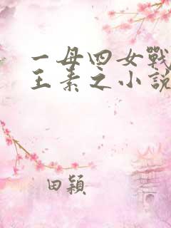 一母四女战一婿王素之小说免费阅读