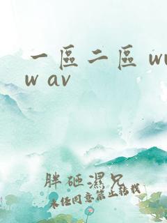 一区二区 www av