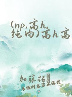 (np,高h,纯肉)高h高辣文