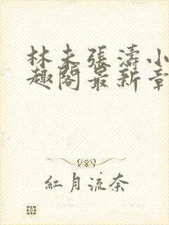 林未张涛小说笔趣阁最新章节列表