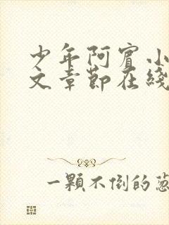 少年阿宾小说全文章节在线