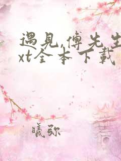 遇见,傅先生txt全本下载