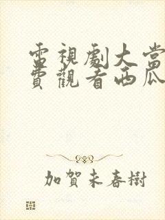 电视剧大当家免费观看西瓜