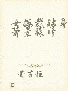 女总裁贴身兵王萧晨苏晴