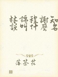 林锦程谢知意小说叫什么名字