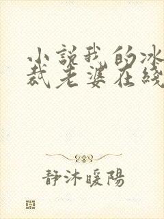 小说我的冰山总裁老婆在线阅读