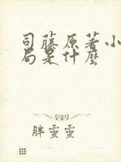 司藤原著小说结局是什么