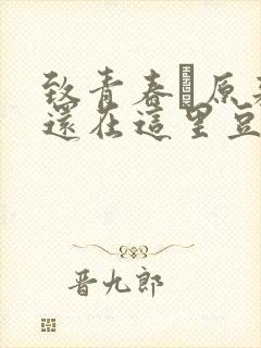 致青春·原来你还在这里豆瓣