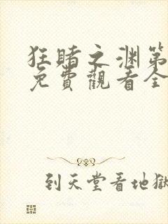 狂赌之渊第二季免费观看全集