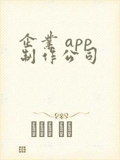 企业 app 制作公司