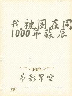 我被困在同一天1000年苏辰
