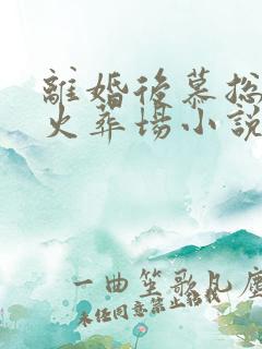 离婚后慕总追妻火葬场小说第一部