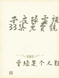 子夜归电视剧第33集免费观看