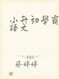 小升初学霸笔记语文