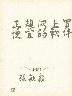 正规网上买东西便宜的软件