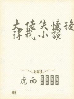 大佬失忆后只记得我小说