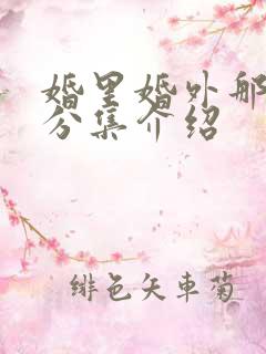 婚里婚外那些事分集介绍