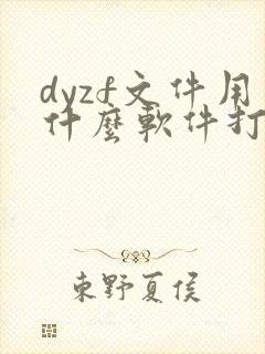 dyzf文件用什么软件打开