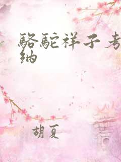 骆驼祥子考点归纳