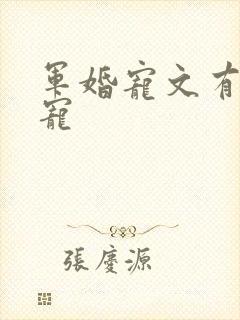 军婚宠文有肉甜宠