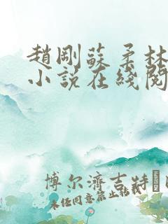 赵刚苏柔林风的小说在线阅读