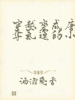 穿越变成唐僧掠夺气运的小说