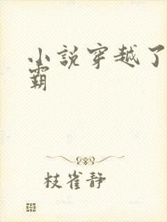 小说穿越了的学霸