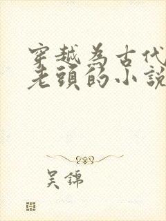 穿越为古代农家老头的小说