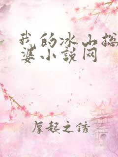 我的冰山总裁老婆小说网