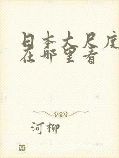 日本大尺度综艺在哪里看