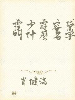 霍少霆容黛小说叫什么名字