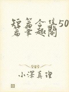 短篇合集500篇笔趣阁