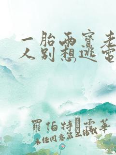 一胎两宝老婆大人别想逃电视剧