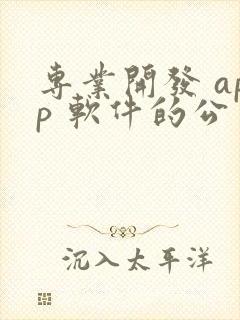 专业开发 app 软件的公司