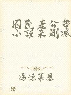 国民老公带回家小说未删减