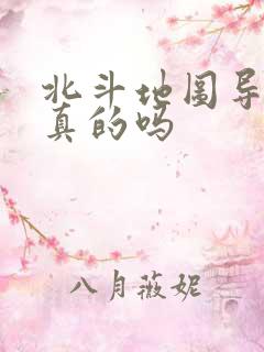 北斗地图导航是真的吗