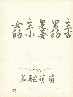 女主是男主父亲的小妾的古言