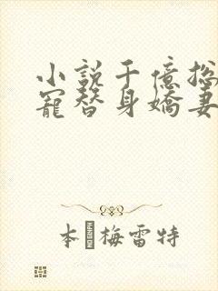 小说千亿总裁独宠替身娇妻