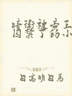 暗卫被帝王抓回囚禁了的小说