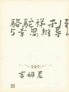 骆驼祥子1到15章思维导图