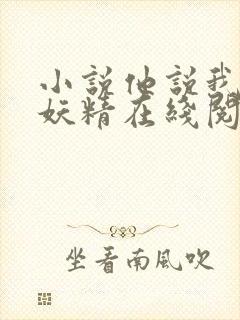 小说他说我是小妖精在线阅读